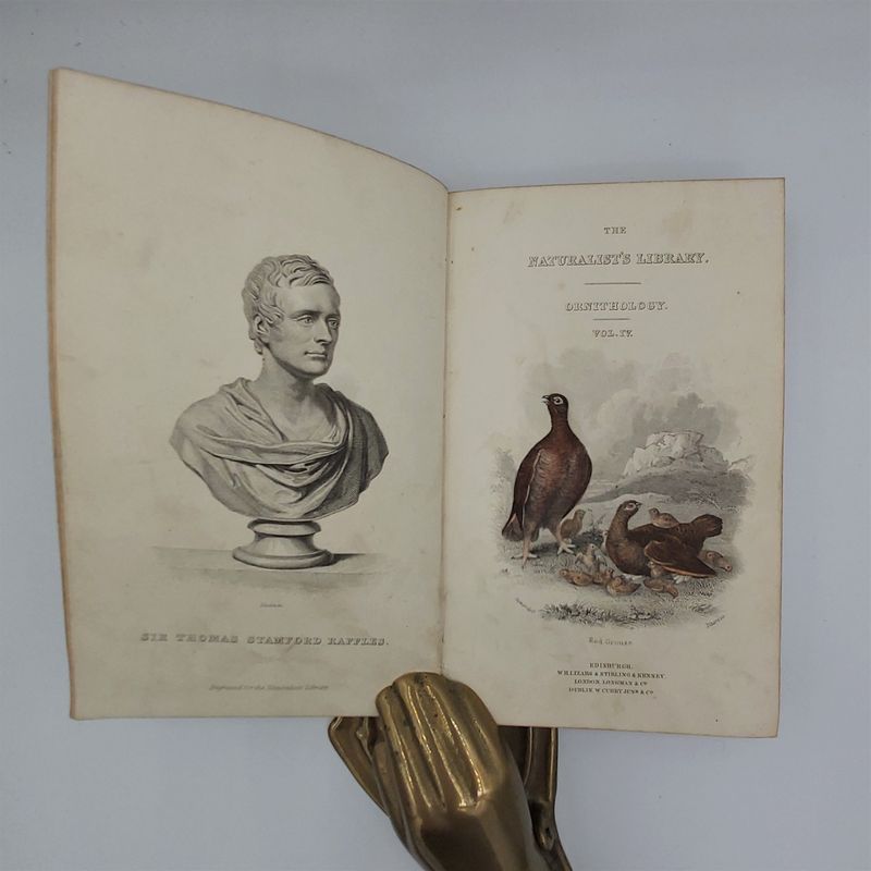 Gallinaceous Birds (3)