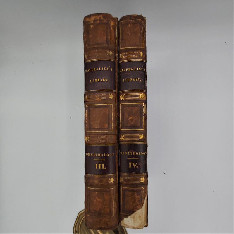 Gallinaceous Birds (5)