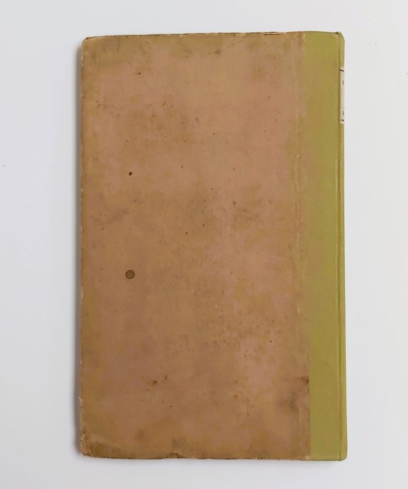 Brayley Views Of Suffolk, Norfolk, And Northamptonshire (4)