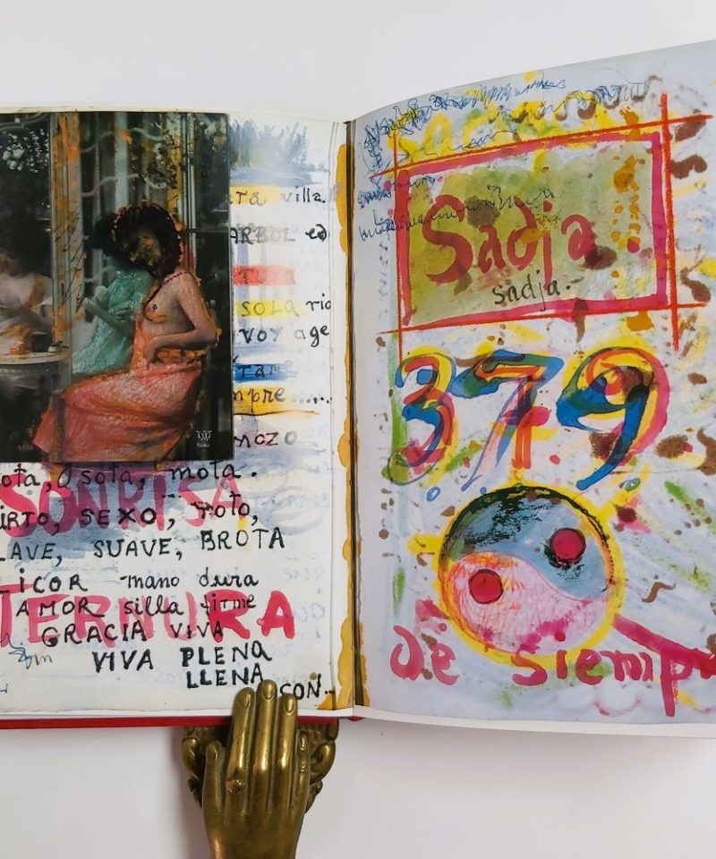 Diary Of Frida Kahlo (1)