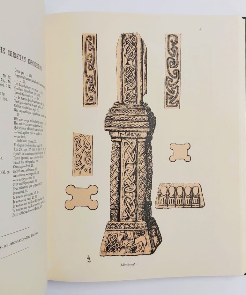 Lapidarium Walliae (1)