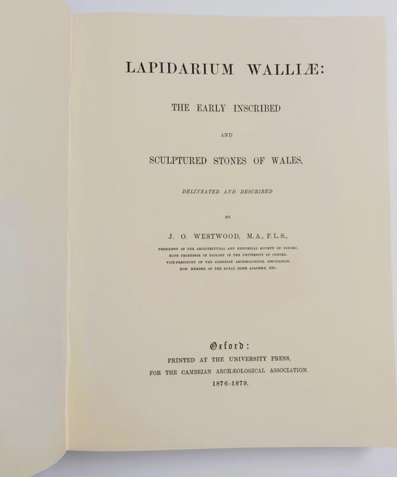 Lapidarium Walliae (3)