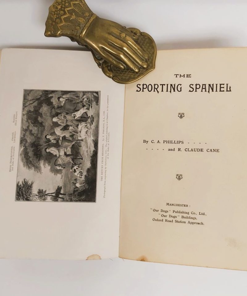 Phillips Sporting Spaniel (2)