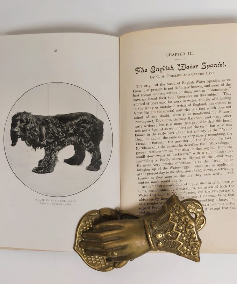 Phillips Sporting Spaniel (3)