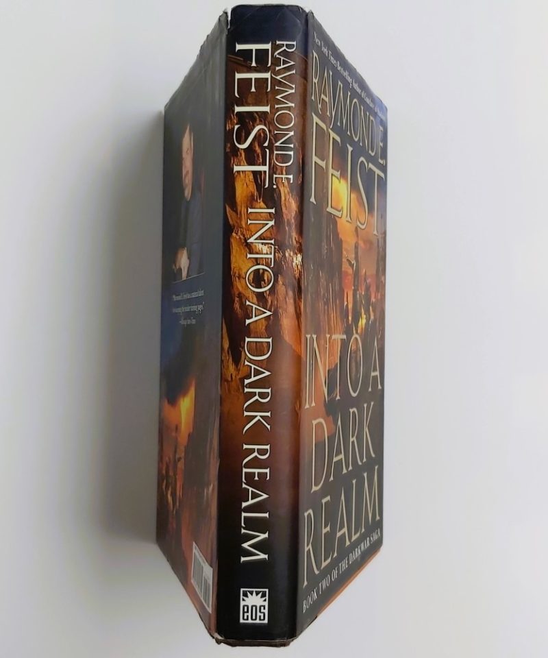 Into A Dark Realm Feist (3)