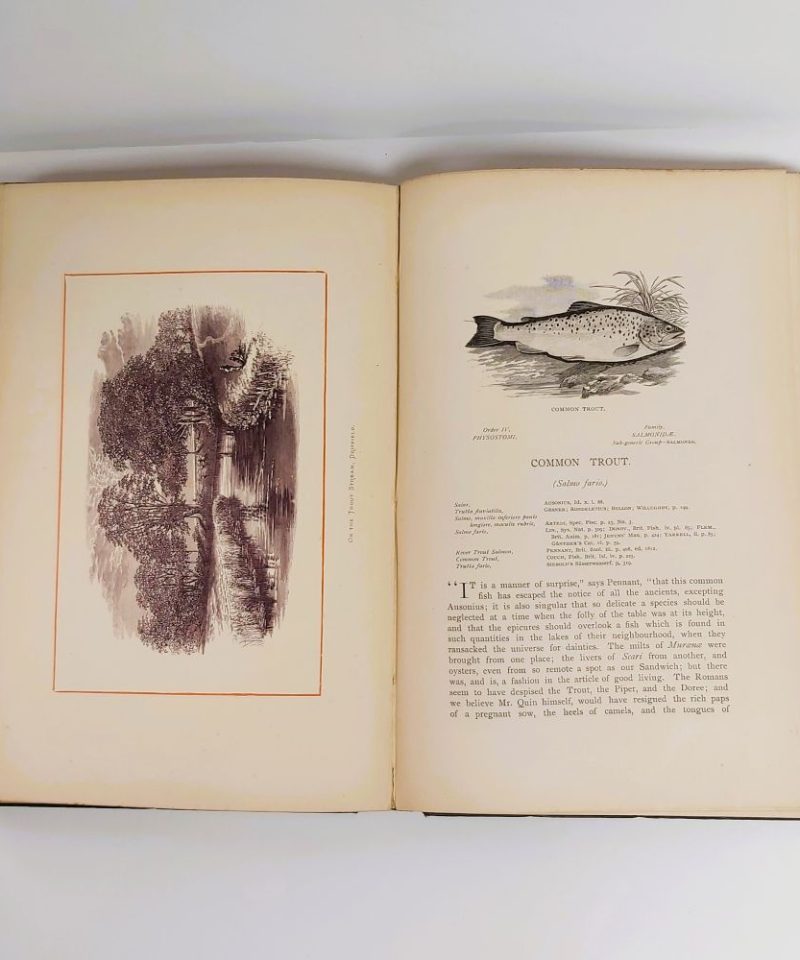 British Freshwater Fishes Houghton (4)