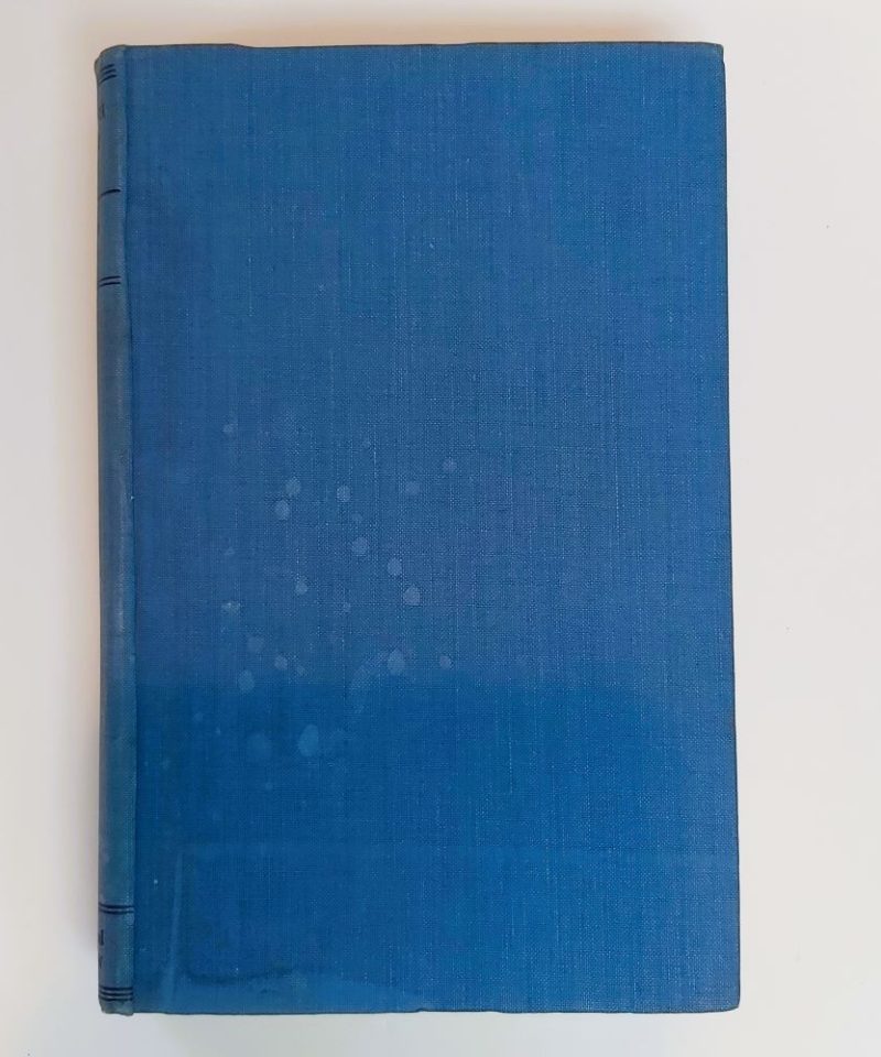 English night life burke (4)