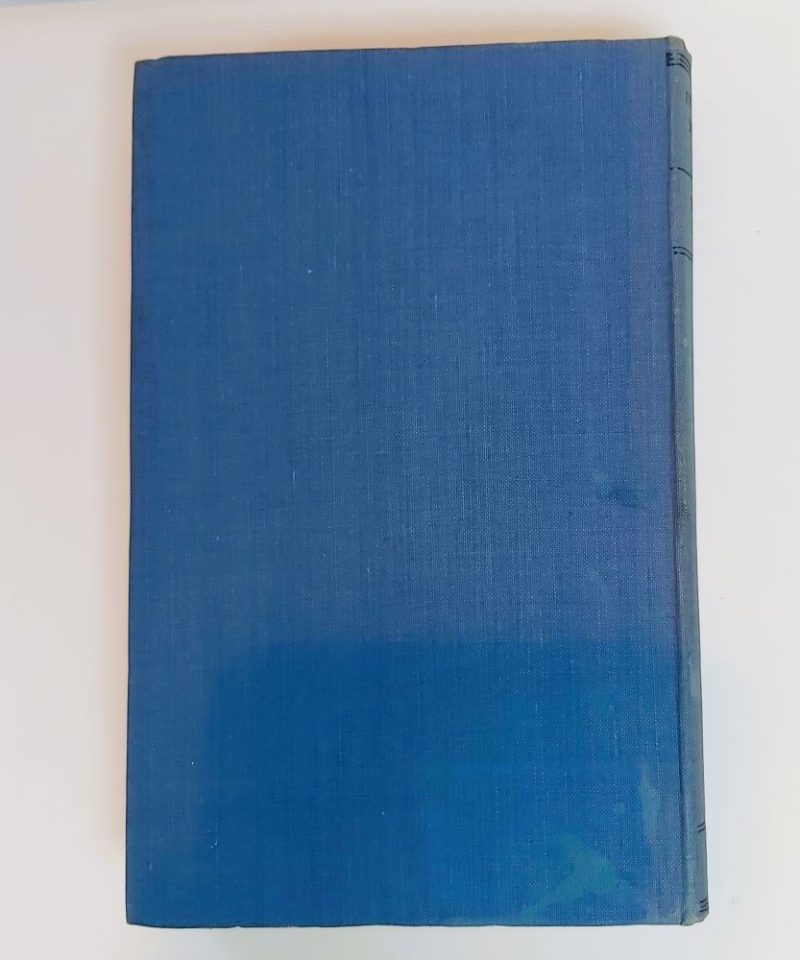 English night life burke (5)