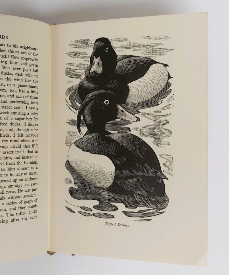 A book of birds priestley (1)