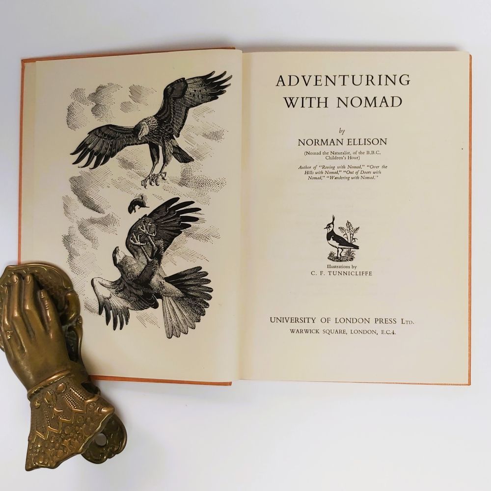 Adventuring with nomad ellison (4)