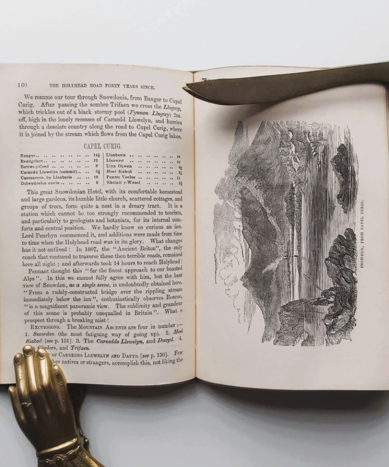 Book of North Wales Cliffe (5)