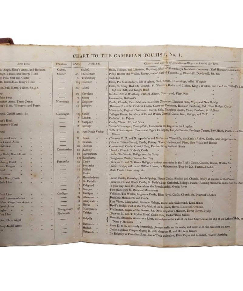 Cambrian Tourist (5)