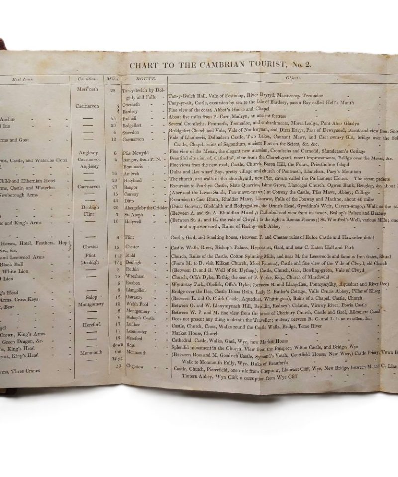 Cambrian Tourist (6)