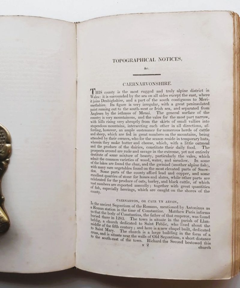 History of Wales Llwyd (6)