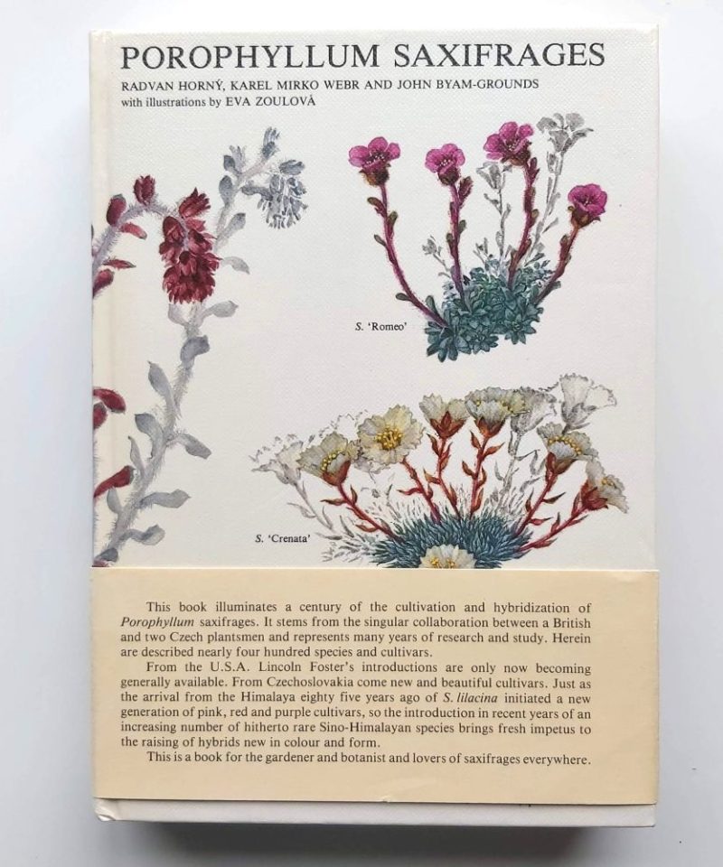 Front cover of the hardback book "Porophyllum Saxifrages" by Radvan Horný, Karel Mirko Webr, and John Byam-Grounds, showing delicate colour botanical illustrations of flowering saxifrages including S. 'Romeo' and S. 'Karel Čapek' against a white textured background.